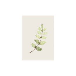 MINI BILLET | blad
