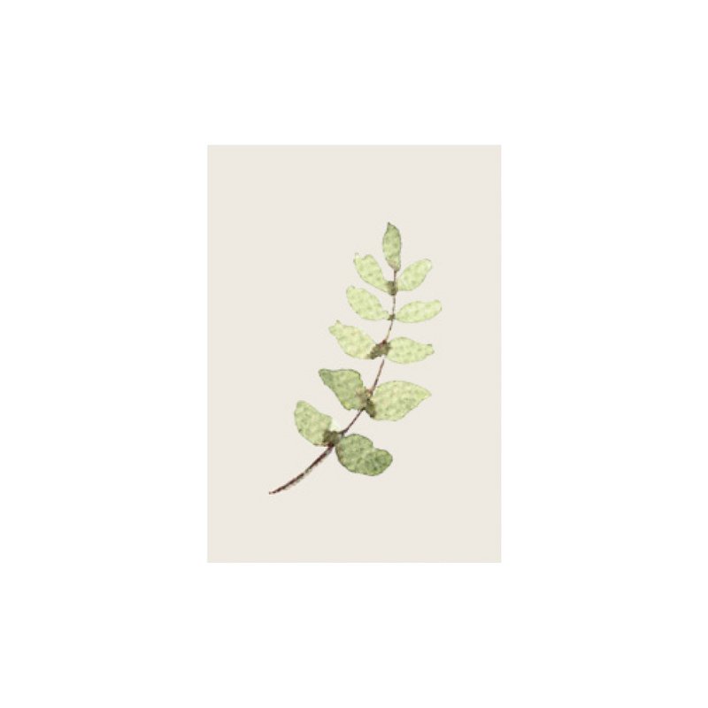 MINI BILLET | blad