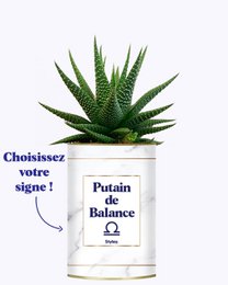 A potted succulent plant with green spiky leaves, labeled "Putain de Balance" or "Putain d'astro - Plante zodiac" in a white ceramic container.