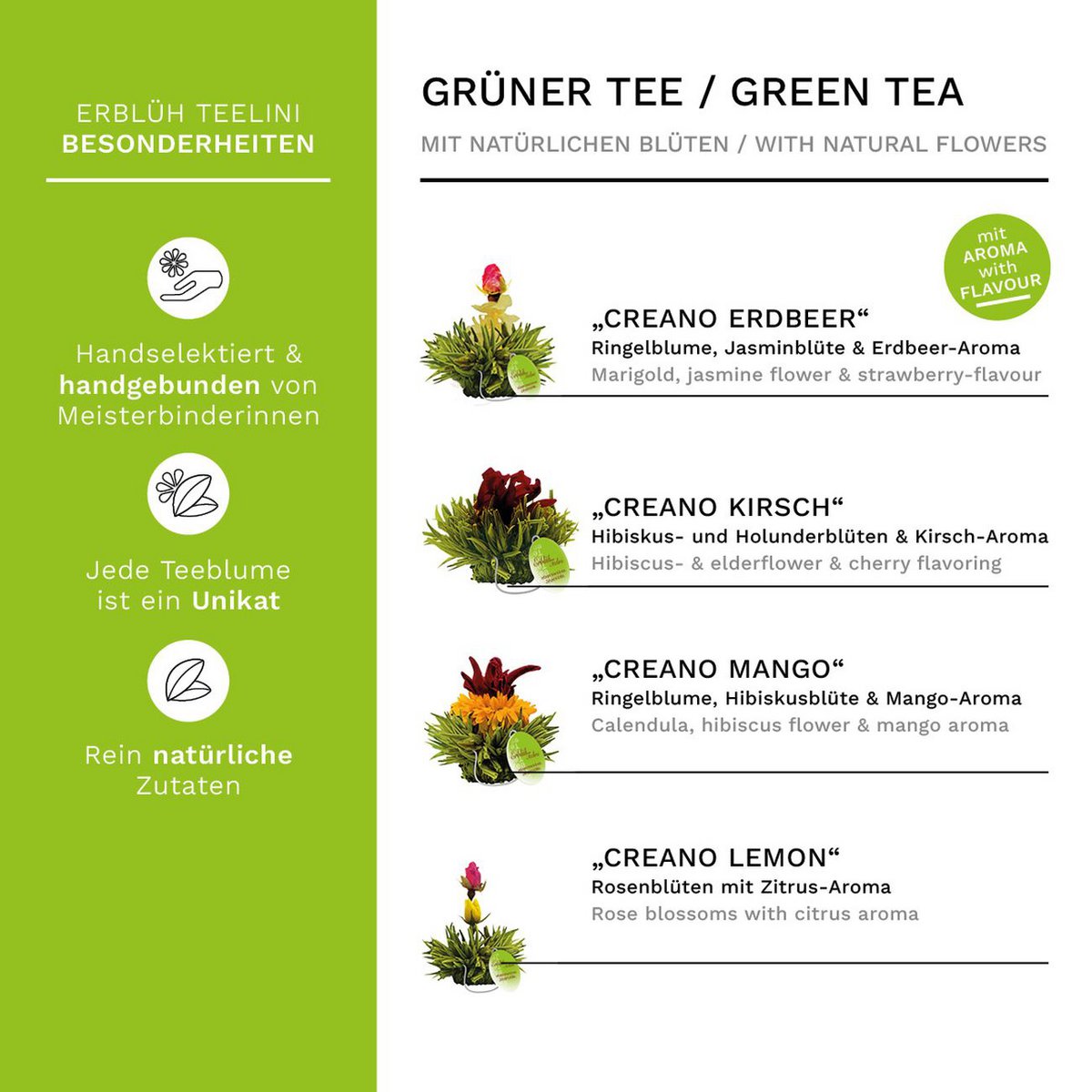 Creano Teelini Geschenkset Grüner Tee 12er-Kiste