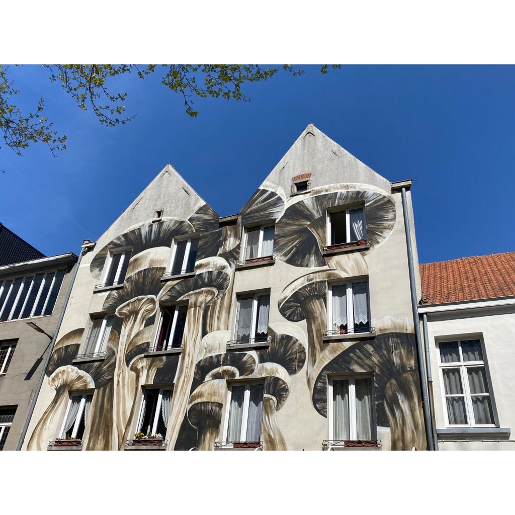 ANTWERP