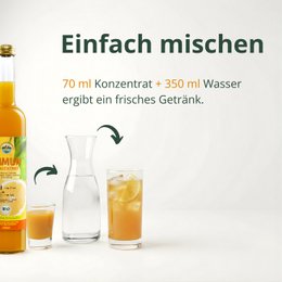 Concentré de gingembre organique 500 ml
