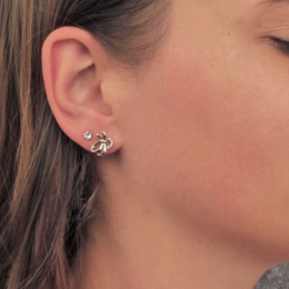 Boucles d'oreilles Posie - ArgentÃ© et Cristal