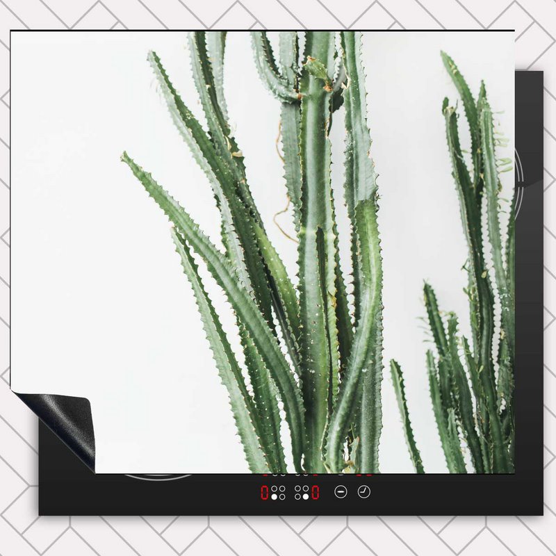 Protecteur induction - Cactus