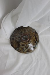 Unique Rustic Handmade Plate