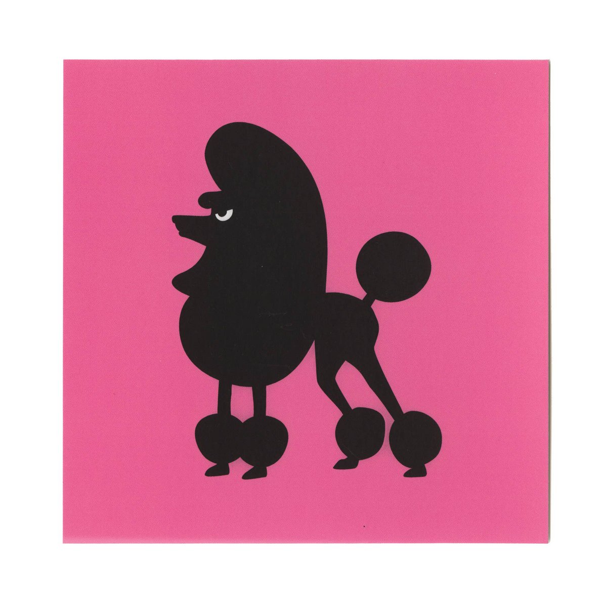 postcard - French Poodle  (Angry Animals)