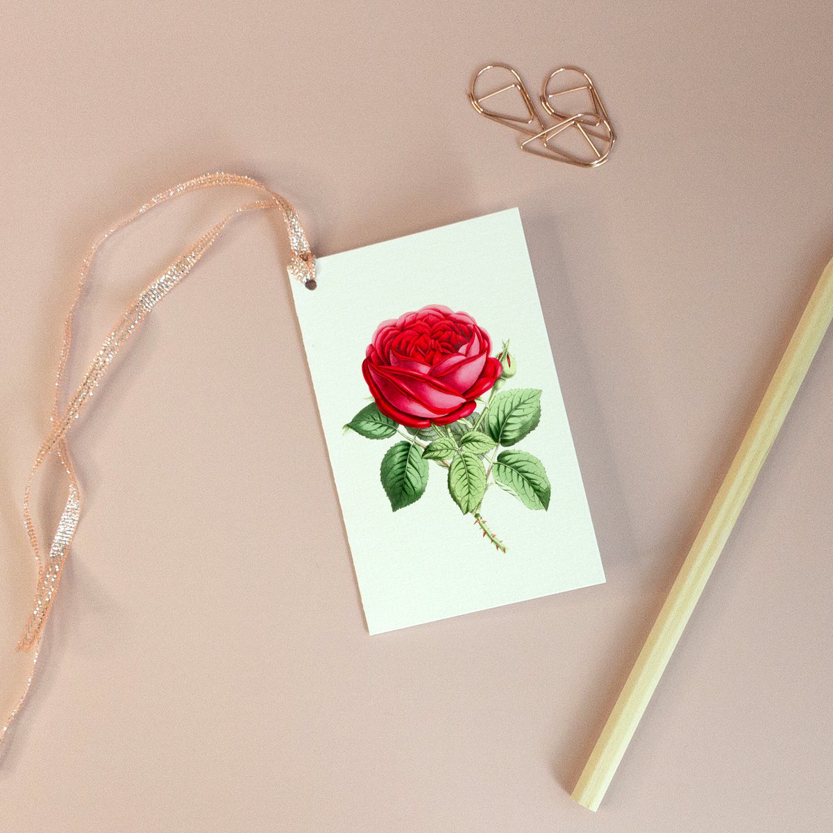Red Rose, Gift Tag - Botanical Vintage