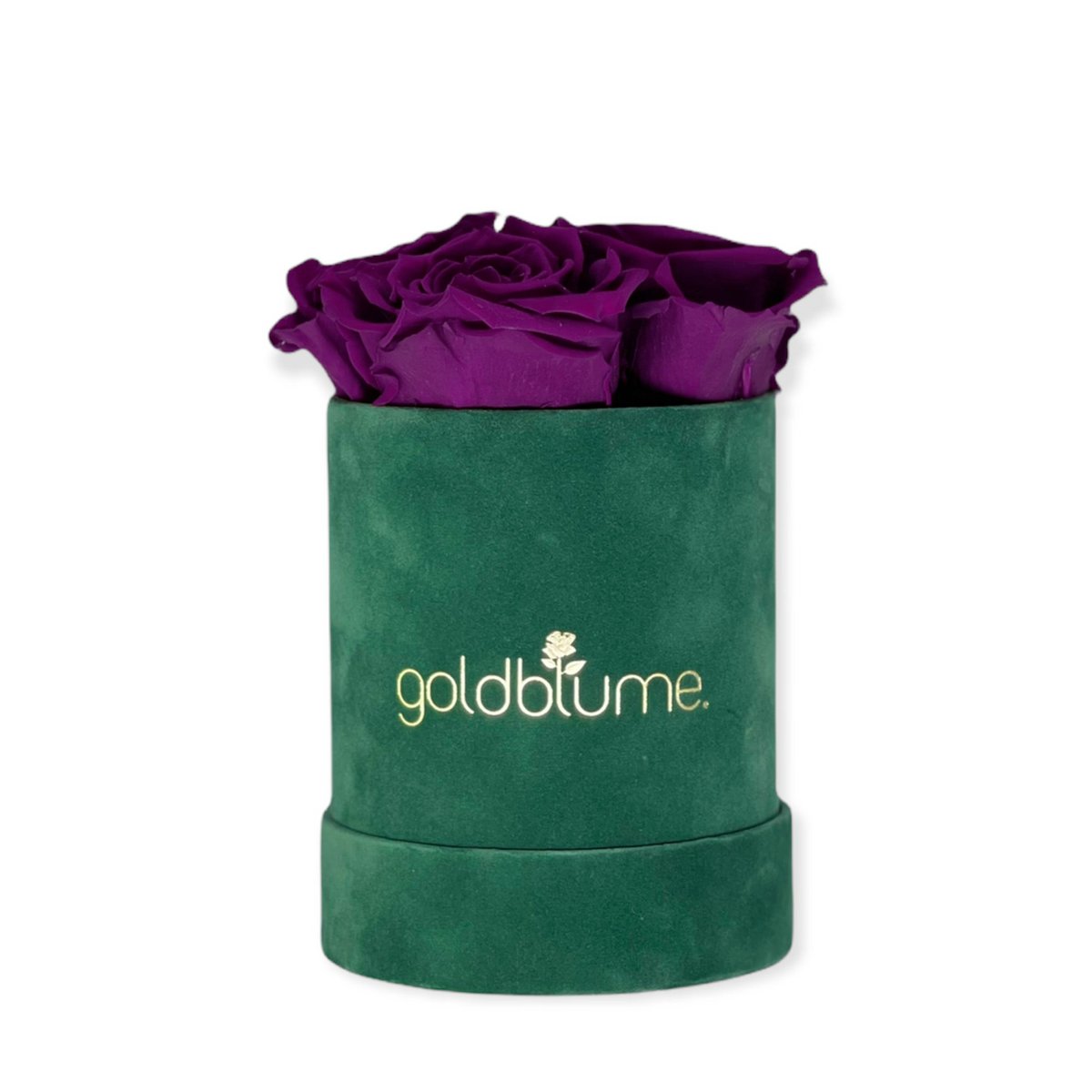 Velvet Green Collection