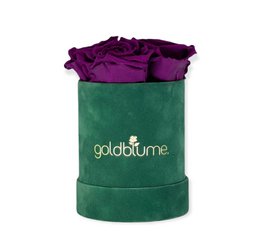 Velvet Green Collection