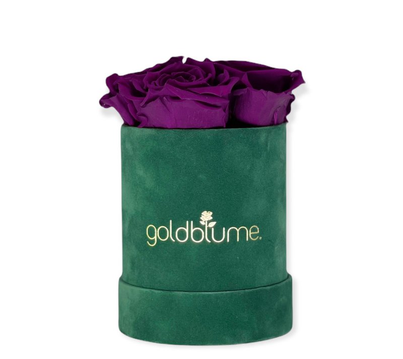 Velvet Green Collection