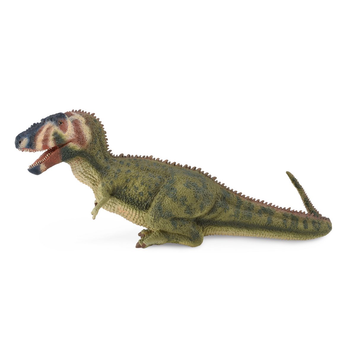 Daspletosaurus - (L)
