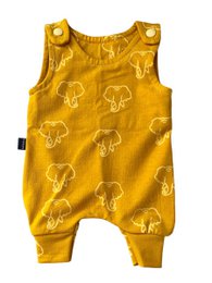 peto prematuro "ocre"