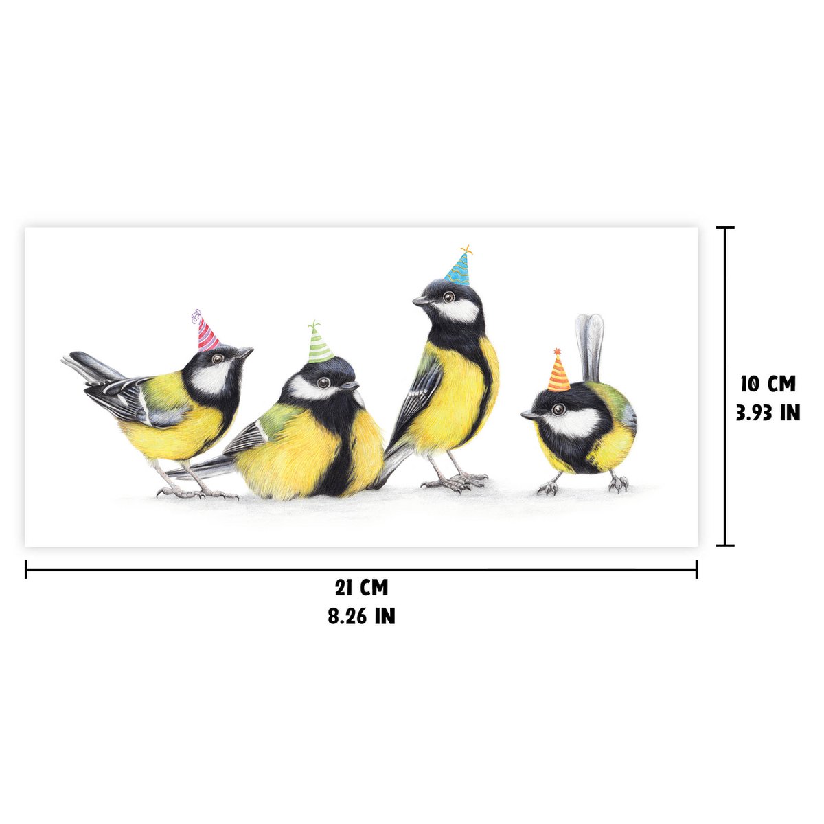 Vogel-Geburtstagskarte – Tier-Grußkarte – Kohlmeise-Karten, leere Karte