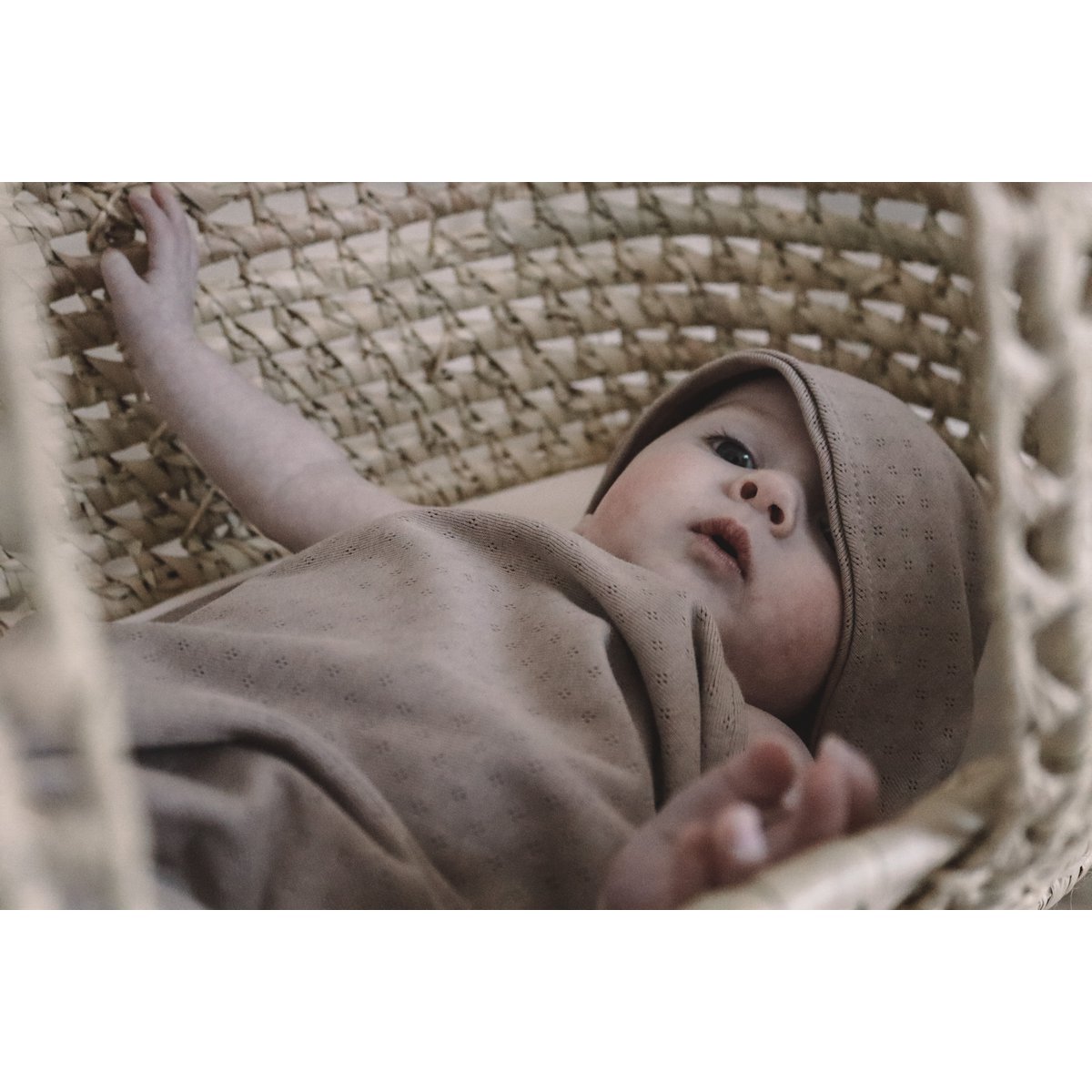Shawl Piontelle TAUPE