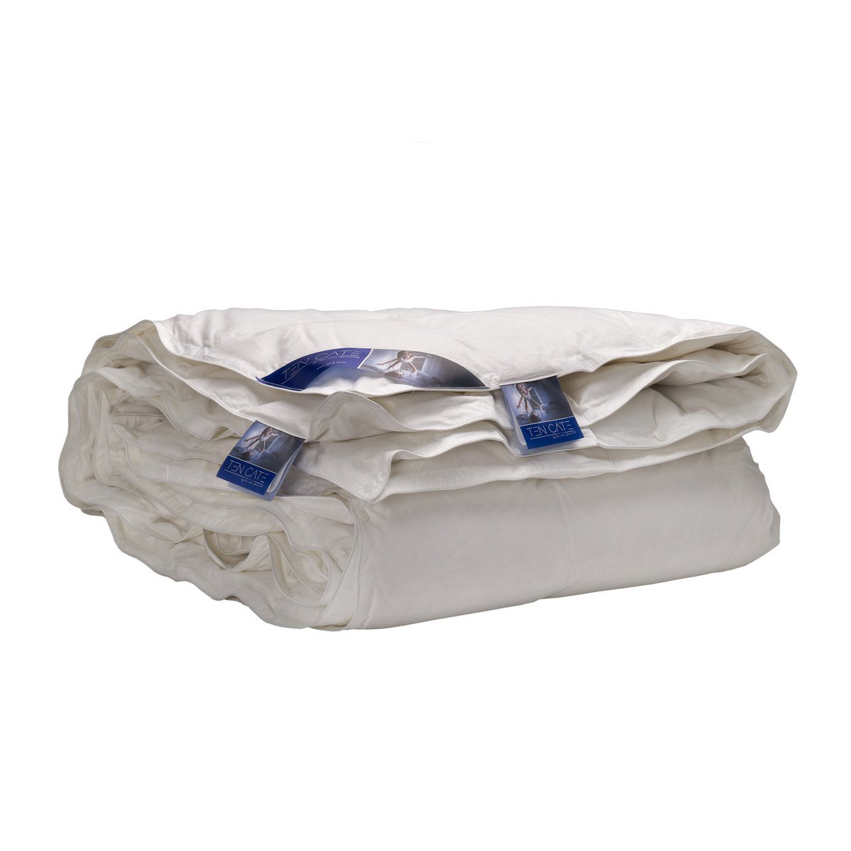Ten Cate 90/10 Duck Donzen 4-Season Counter