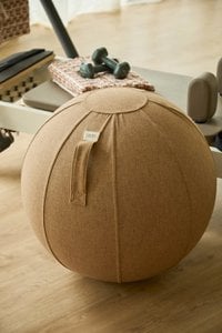 Brown Ergonomic Ball Sphere