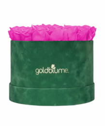 Velvet Green Collection