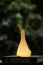 Night light goose with 3 positions and 30 minutes timer