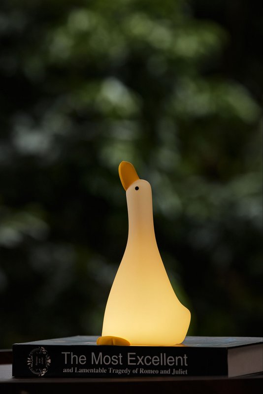 Night light goose with 3 positions and 30 minutes timer