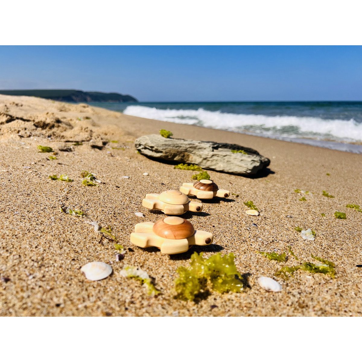 Jouet Tortue de Mer - Tortuga en Bois