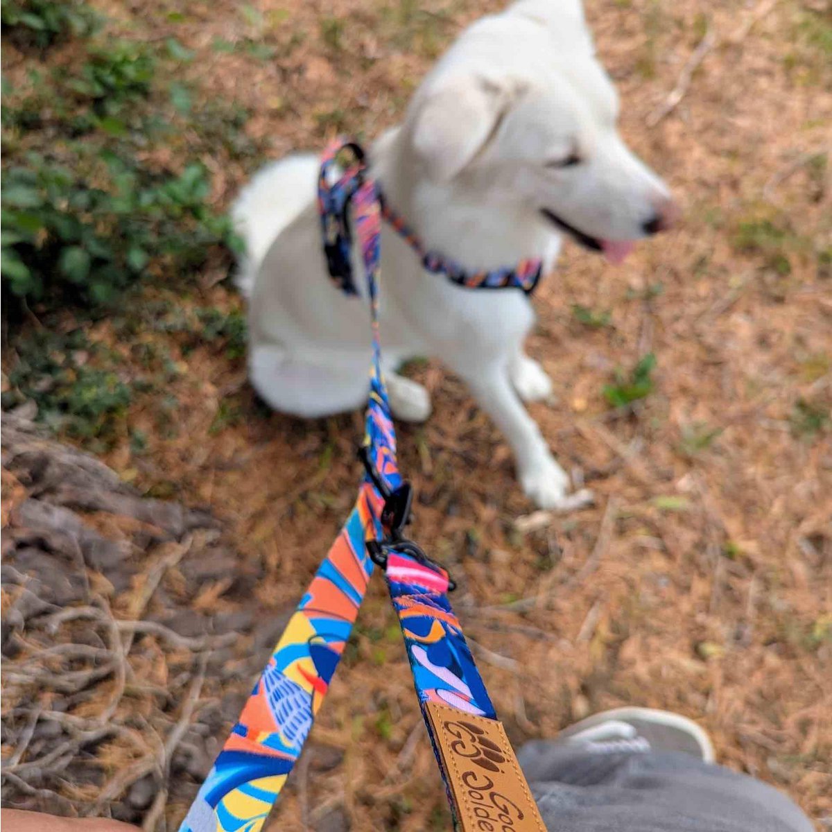 Multi-position Lagoon leash