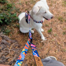 Multi-position Lagoon leash