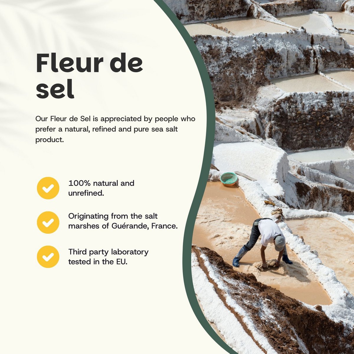 Guérande Sea Flower -  250 Grams