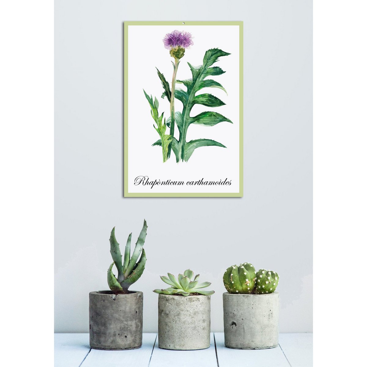 Blechschild - Rhaponticum carthamoides 20x30cm