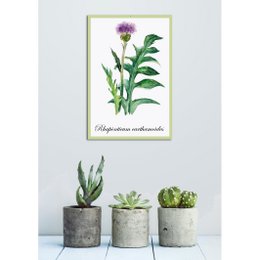 Blechschild - Rhaponticum carthamoides 20x30cm