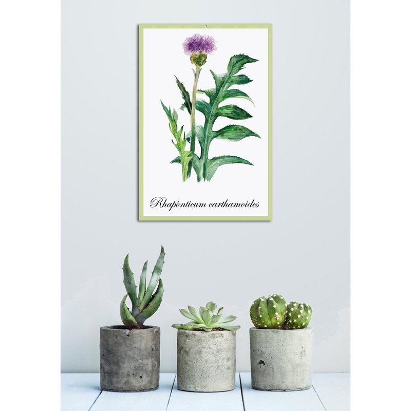 Blechschild - Rhaponticum carthamoides 20x30cm