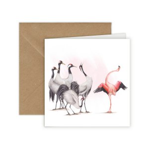 Flamingo & Kranen - Wenskaart, 13 x 13 cm, Vogels, Kaarten