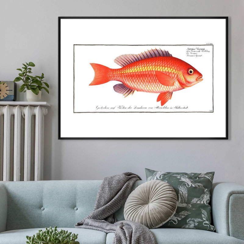 Goldfish antik vintage print
