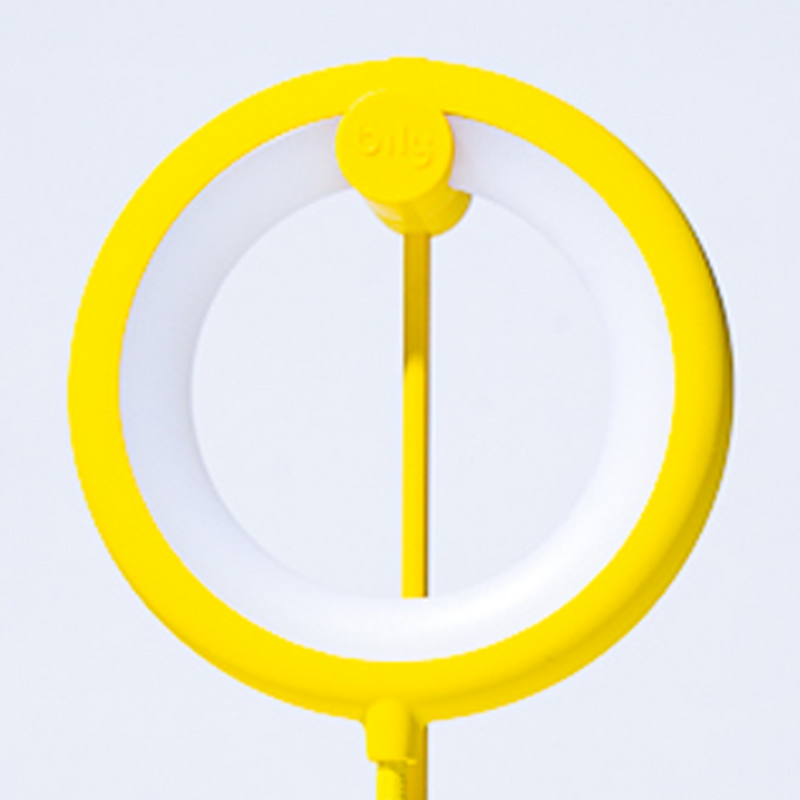 💡 Lampe Nomade Bily Bird