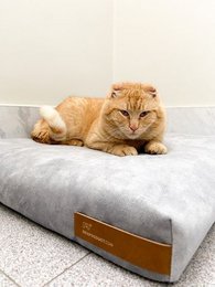 Materasso "Soft" per cane e gatto - riciclato