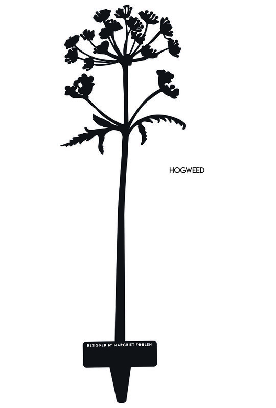 Poppy's & Hogweed - Objeto Corten