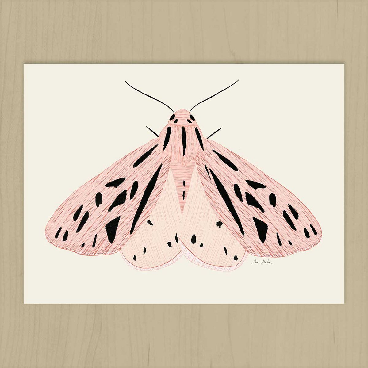 Pink Butterfly Art Print
