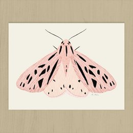 Pink Butterfly Art Print