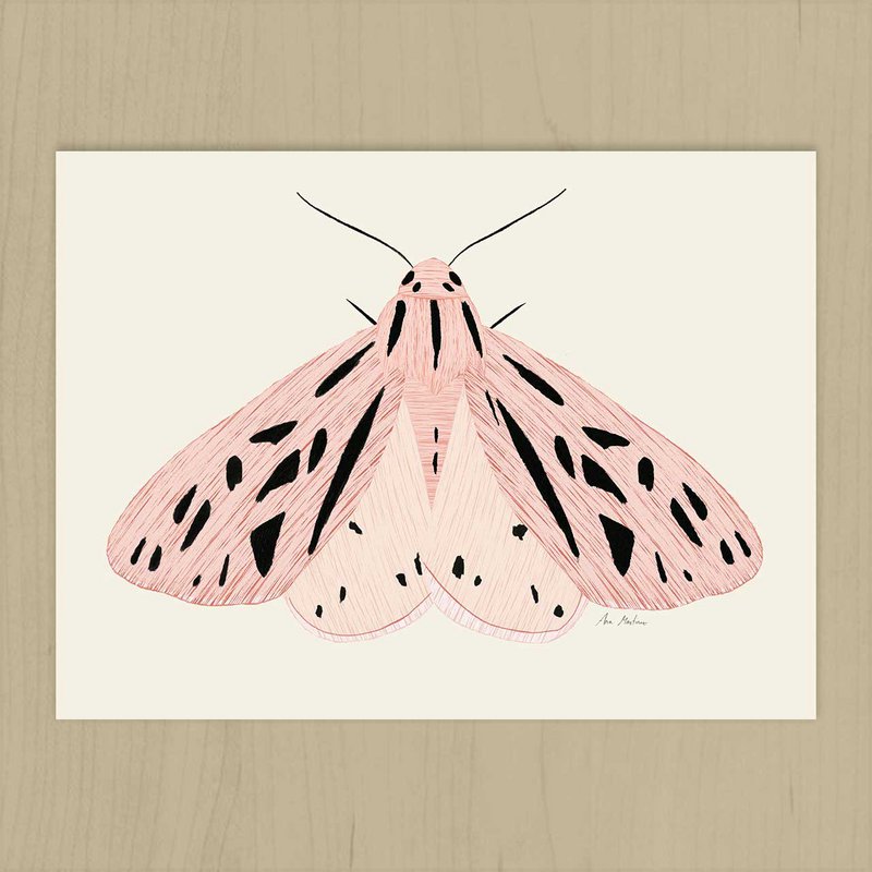 Pink Butterfly Art Print