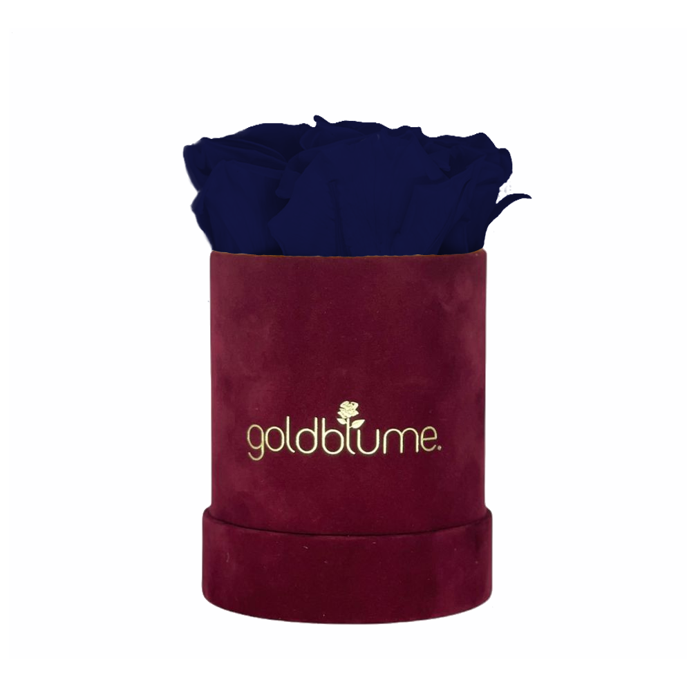 Collection Velours Bordeaux