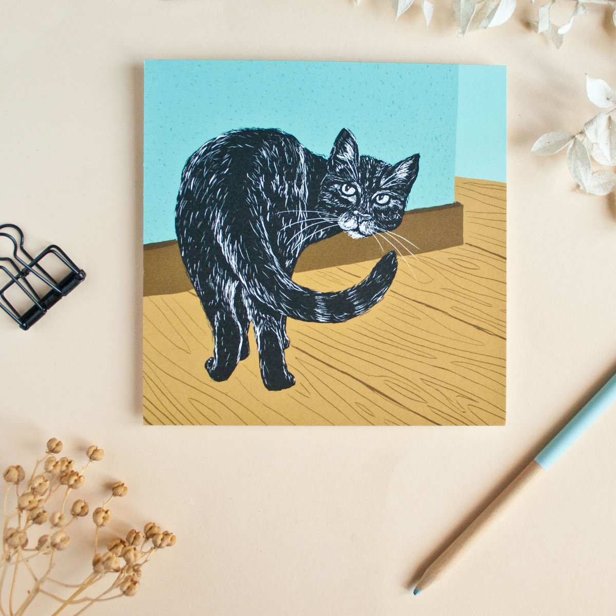 Chat de carte postale carrée