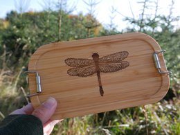 Lunch box Dragonfly small