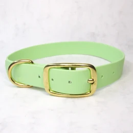 Basic Beauty - MEDIUM & LARGE DOG