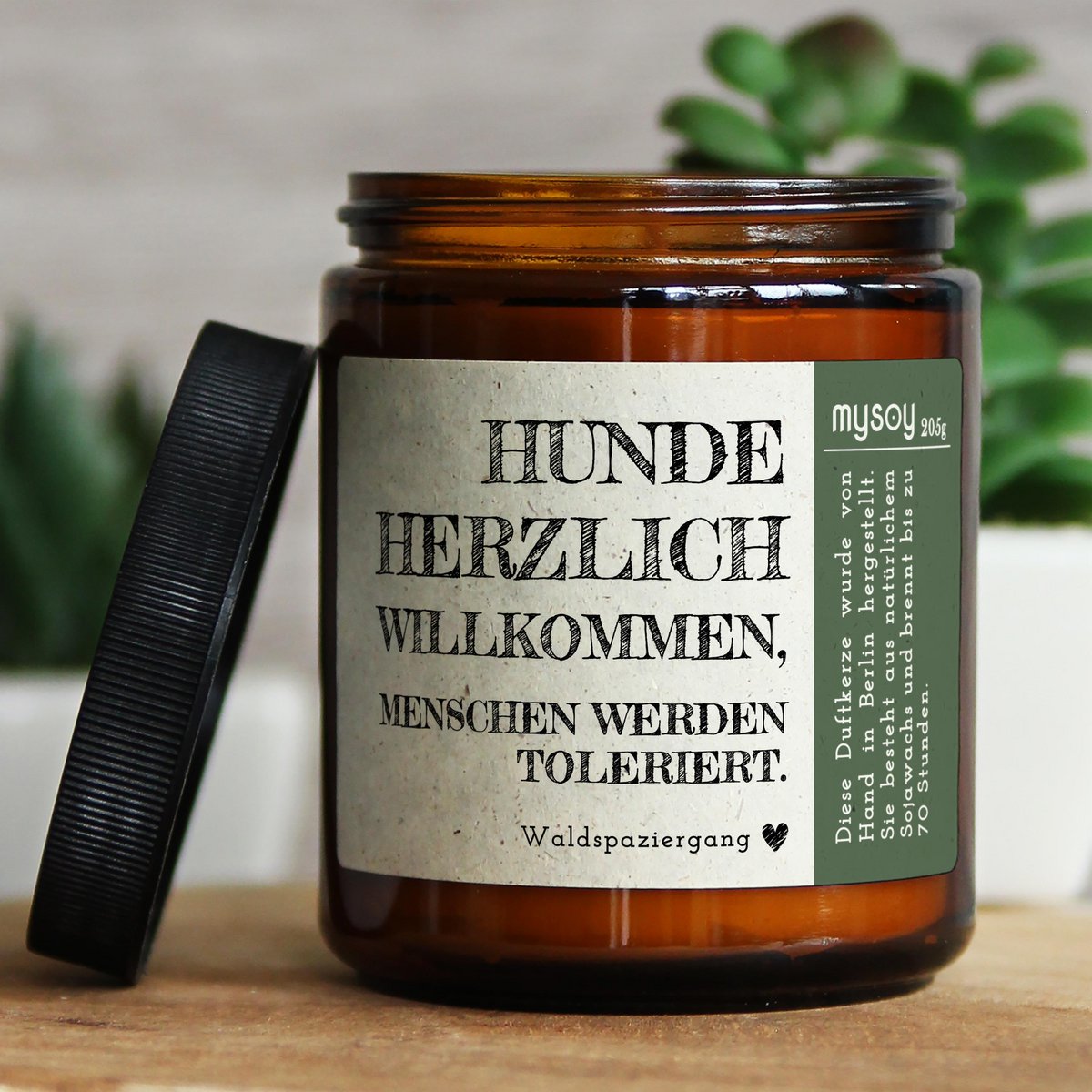 Waldspaziergang