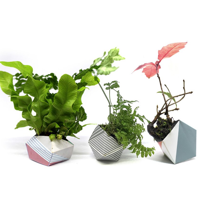 3 OriBon - Classic collection