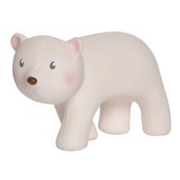 Mein erster arktischer Tier-Eisbär