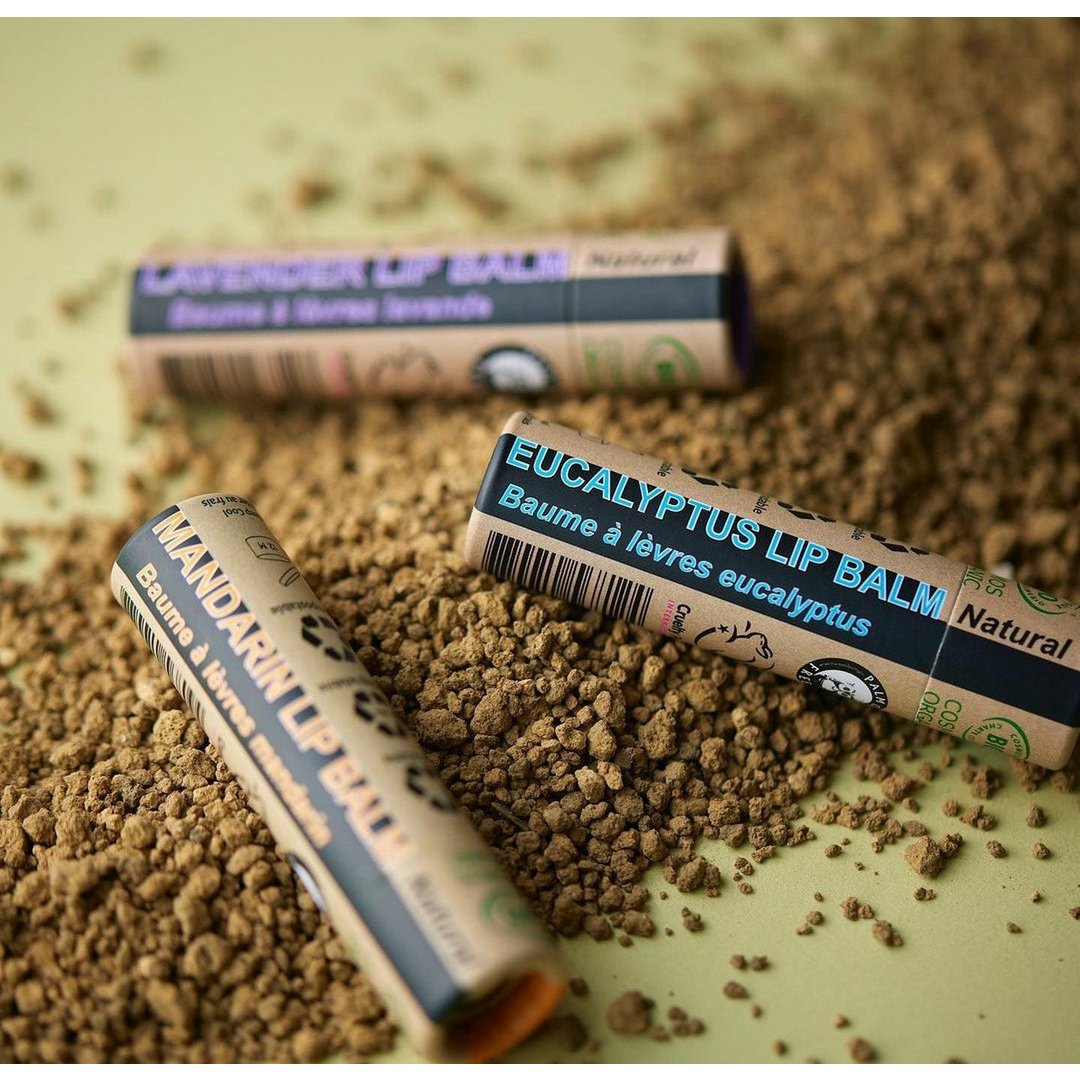 Organischer Eukalyptus Lippenbalsam - 1 Stück - 100% Papierverpackung