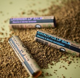 Organischer Eukalyptus Lippenbalsam - 1 Stück - 100% Papierverpackung