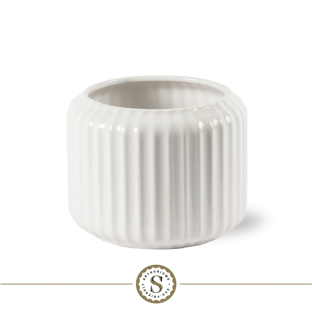 Bolon White Cava