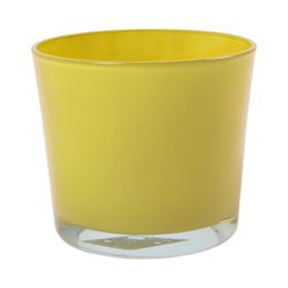 Conner Mostaza de vidrio de forma regular H12.5 D14.5