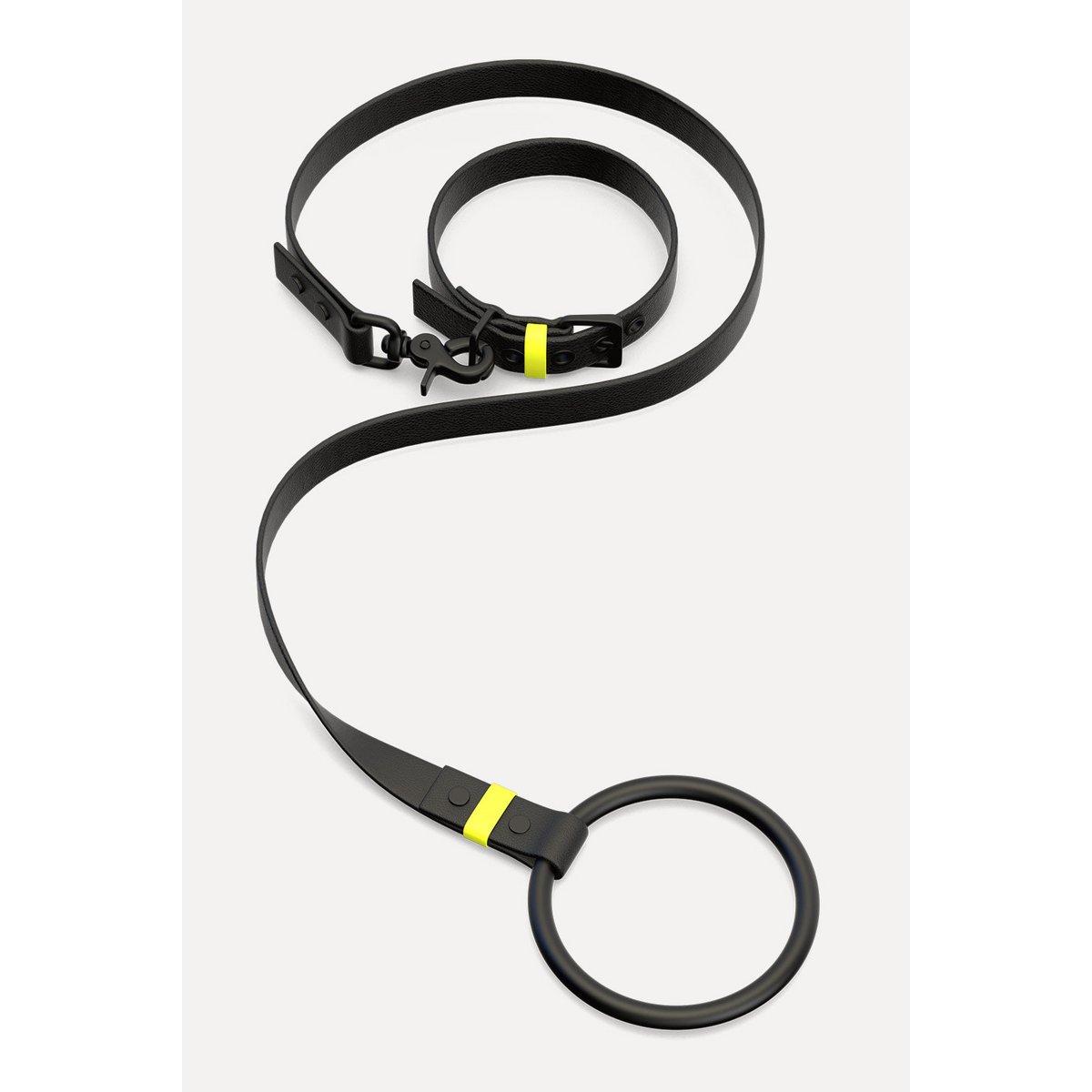 Dog collar C01